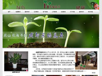 成都芳緣花卉