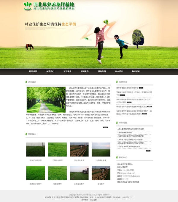 草坪網站建設-河北早熟禾草坪基地-石家莊做網站案例