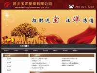 河北寶洋投資有限公司