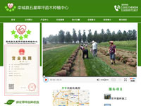 欒城縣五星草坪苗木種植中心