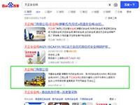 SEO網站優化案例 - 天正安全閥